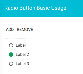 Radio Button screenshot: radio-group selected via keyboard